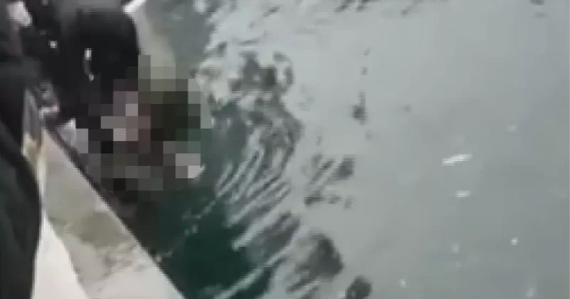 İstanbul da can pazarı! 4 engelli vatandaş denize düştü, biri hayatını kaybetti
