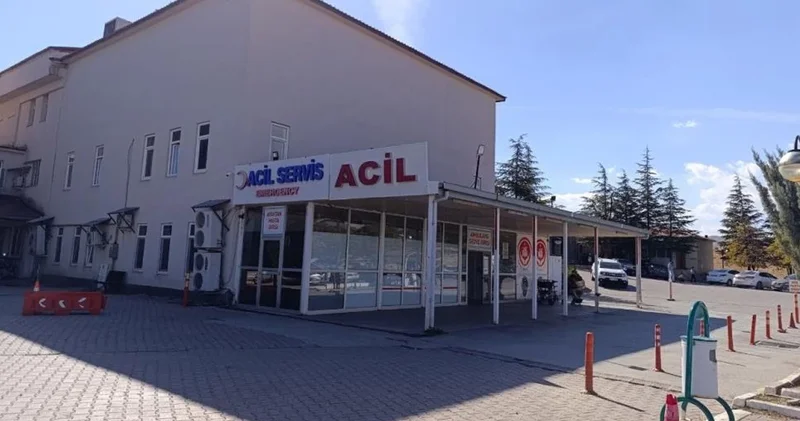 Kahramanmaraş ta arının soktuğu çocuk yaşamını yitirdi