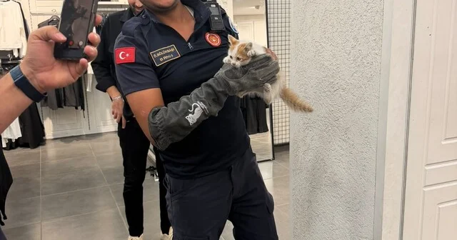 İtfaiye ekipleri duvarda mahsur kalan kedi ile parmaklıklara sıkışan köpeği kurtardı Eskişehir Haber Habertürk Yerel Haberler