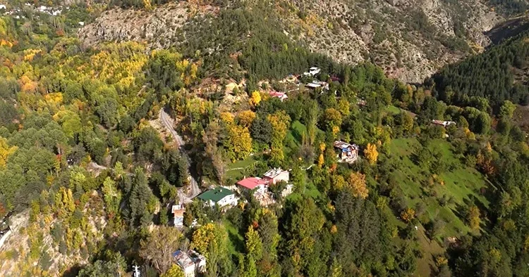 Artvin de kayalıklar üzerine kurulu dağ köyü sonbaharda renk cümbüşüne büründü