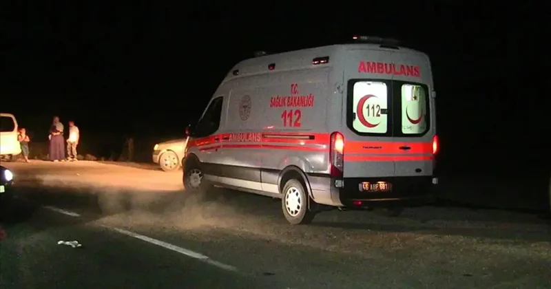 Kavgayı ayırmak isterken vurulan kadın öldü