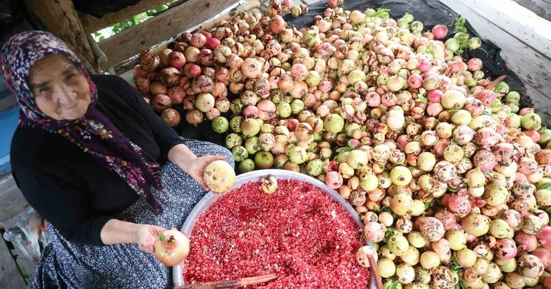 Tek tek ayıklanıyor, tam 1,5 tonundan sadece 60 kilo elde ediliyor: Kilogram fiyatı 750 TL