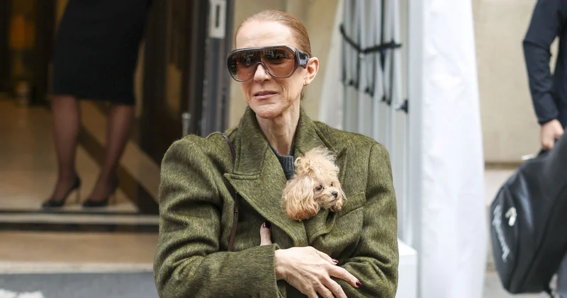 Celine Dion minik köpeğini koynunda taşıdı