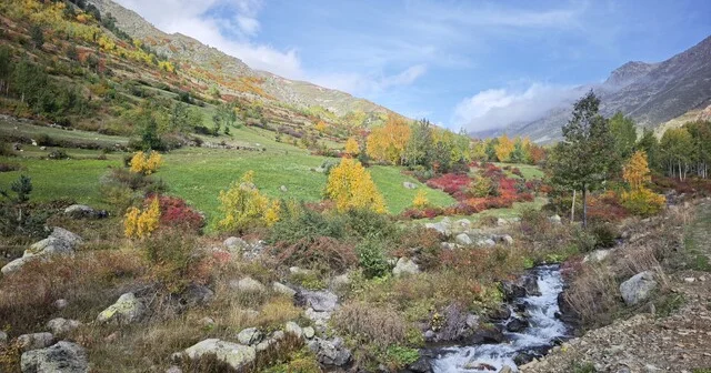 Kayaların üzerine kurulan köyde sonbahar manzarası Artvin Haber Habertürk Yerel Haberler