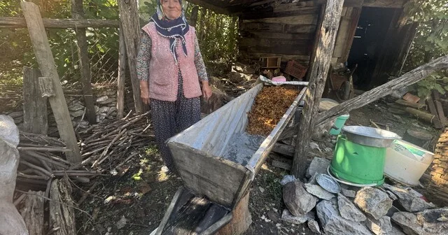 Sırrı meşe külünde saklı Toroslar da pekmez mesaisi sona erdi: 77 yaşındaki Fatma nine geleneği yaşatıyor Ezilerek elde edilen şıra, meşe külüyle kaynatıyor kilosu 500 liradan satılıyor Antalya Son Dakika Haberleri Habertürk Yerel Haberler