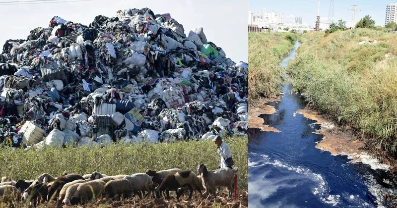 Avrupa nın çöpünü toplayan Türkiye de kanallar plastik doldu: Denizden balık çıkmıyor Sözcü Gazetesi