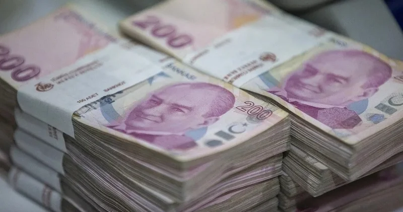 Siyasi partilerin alacağı hazine yardımı belli oldu