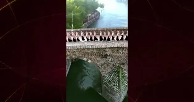 Diyarbakır da hafızlık eğitimini bitiren 24 kız öğrenci icazet aldı