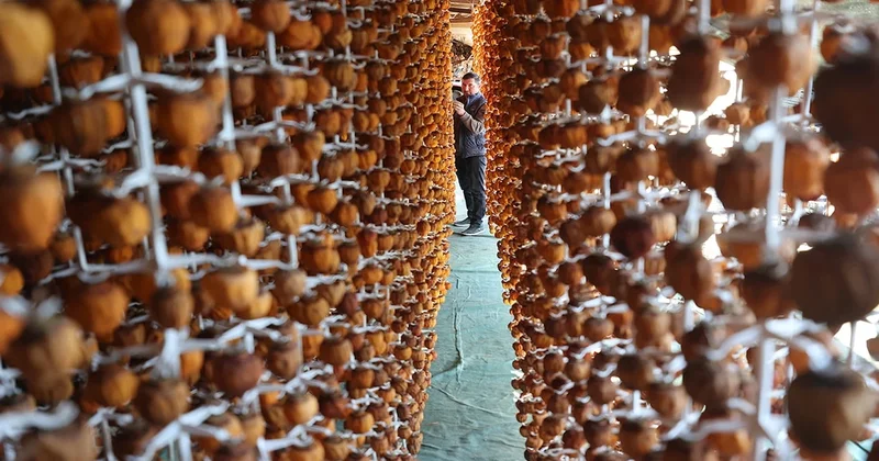 Köyde üretip yurt dışına gönderiyorlar! Üretim 500 kilodan 14 tona çıktı Sözcü Gazetesi