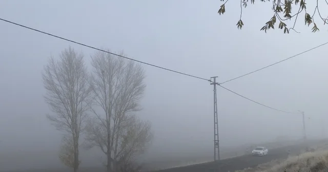 Patnos ta yoğun sis yaşamı olumsuz etkiledi Ağrı Haberleri