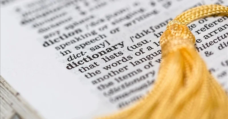 Yılın kelimesi: Parasosyal