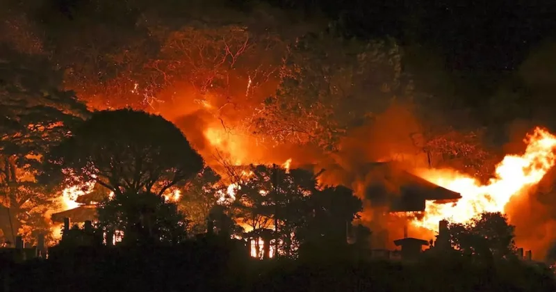 Japonya da facia! Bir mahalle yangında kül oldu