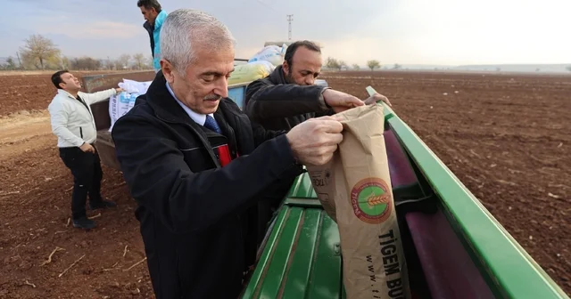 Tahmazoğlu dağıttığı tohumları çiftçilerle ekti Gaziantep Haberleri