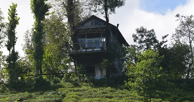 İki kardeşin hayali gerçek oldu; atık malzemeden manzaralı ağaç ev yaptılar