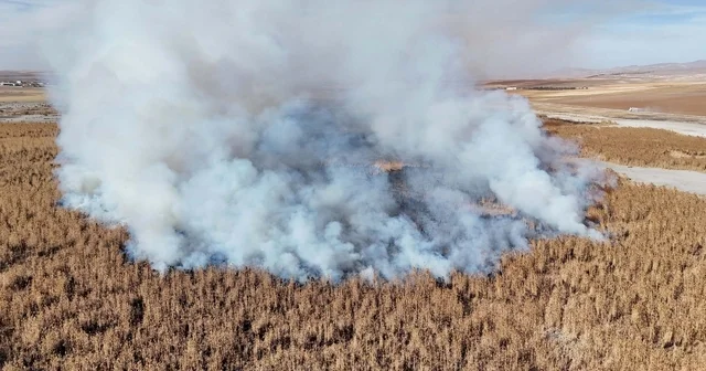 Konya Gök Gölü ndeki sazlık bölgedeki yangın 2 nci gününde devam ediyor Konya Haberleri