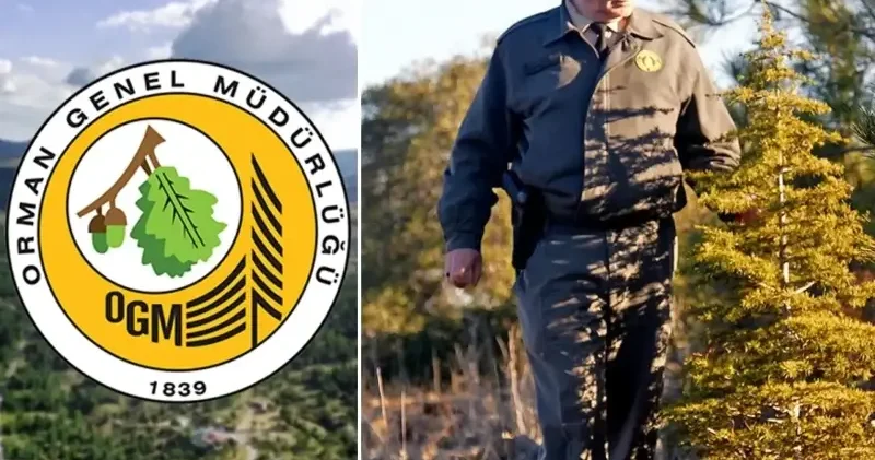 OGM 496 Sözleşmeli Personel Alımı! Başvuru Tarihi ve Şartları Neler? OGM nin 496 Personel Alımı Kadro Dağılımı Açıklandı Türkiye Ekonomisi Haberleri