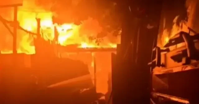 Şanlıurfa’da marangoz atölyesinde yangın: Güvercinler son anda kurtuldu VİDEO İZLE