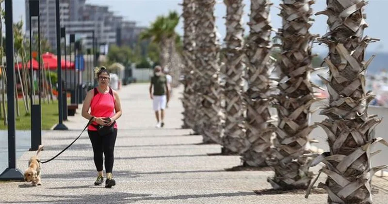 Bugün hava nasıl olacak? 19 Kasım Çarşamba İzmir, Ankara, İstanbul hava durumu tahminleri