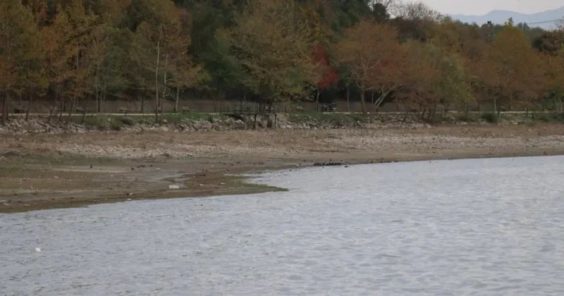 Sapanca Gölü nde esrarengiz görüntü