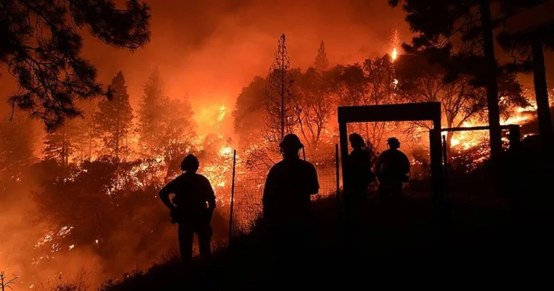 İçişleri Bakanlığı açıkladı: 2025 in afet bilançosu belli oldu