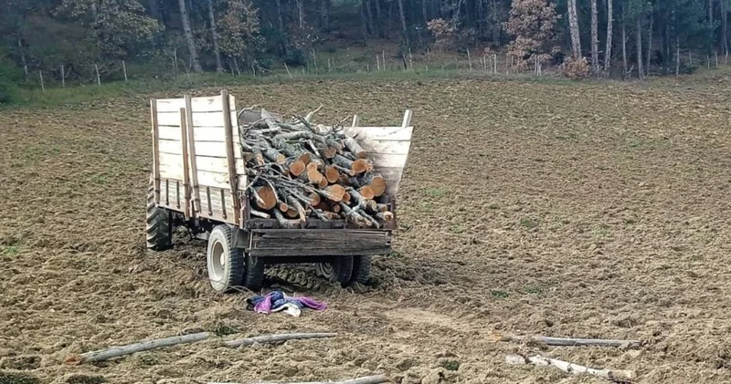 Traktör tarlaya savruldu: 1 kişi hayatını kaybetti 1 yaralı