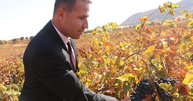 Dicle de modern bağcılığa yönelik yüzde 50 hibeli tarım aletleri desteği başvurusu başladı Diyarbakır Haberleri