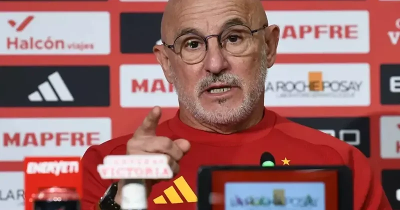 İspanya teknik direktörünün Türkiye maçı biter bitmez yaptığı hareket olay oldu