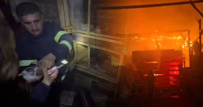 Şanlıurfa’da yangın paniği! İçerideki güvercinleri son anda itfaiye kurtardı