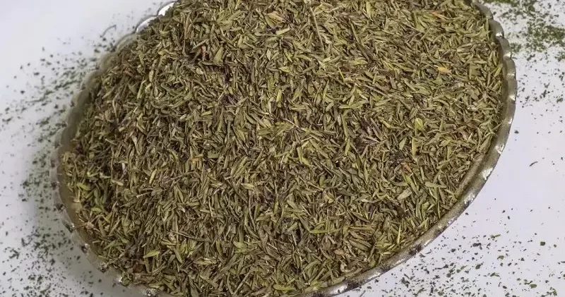 Zahter Nedir: Zahter Neye iyi gelir, Zahter Otunun Faydaları Nelerdir? Zahter Çayı Nasıl Yapılır, Bilimsel Etkileri Son Dakika Haberleri