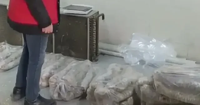 Bakanlıktan şok baskın: Piyasa değeri 4 milyon TL olan satışa hazır kokoreç ele geçirildi VİDEO İZLE