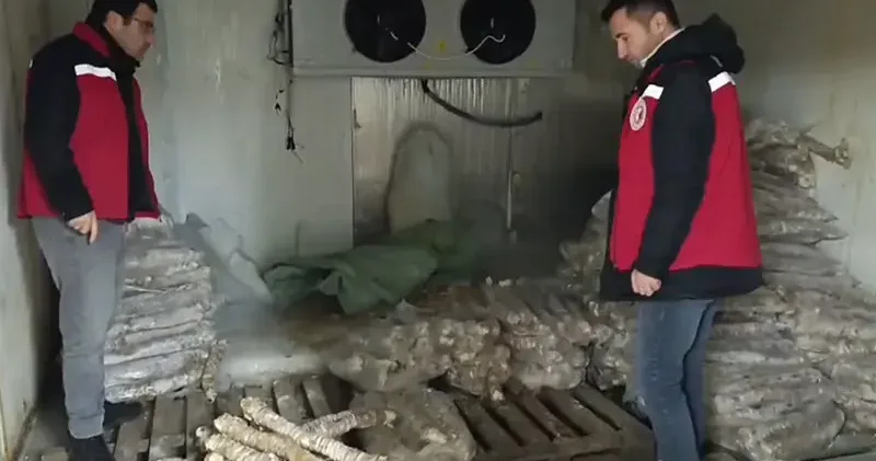 Manisa’da değeri 4 milyon lira olan bozulmuş kokoreç ele geçirildi