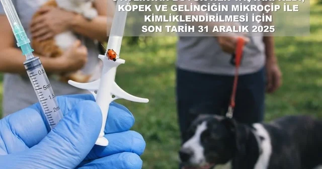 Valilikten evcil hayvan uyarısı Bartın Haberleri