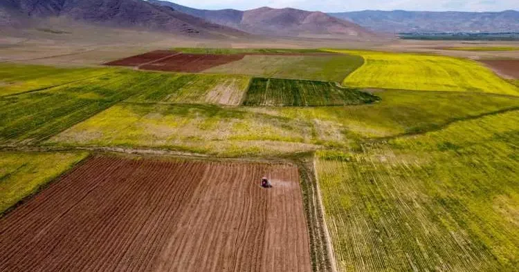 Parasını bu topraklara gömen paraya para demiyor! 10 kat arttı...