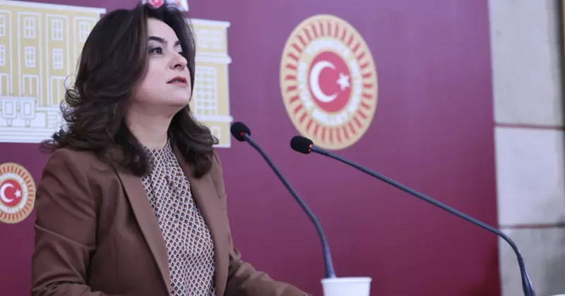 Raporlar tamam; DEM Parti nin acilen istediği yasa çıkacak mı? Hükümetten yanıt geldi
