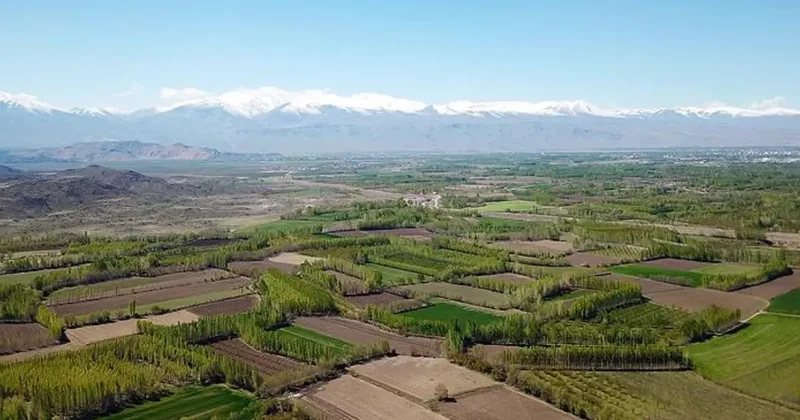 TOKİ den 37 ilde yüzlerce muhtelif arsa satışı