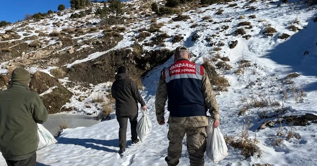 Siirt te yaban hayvanlarına 750 kilo yem bırakıldı Siirt Haberleri