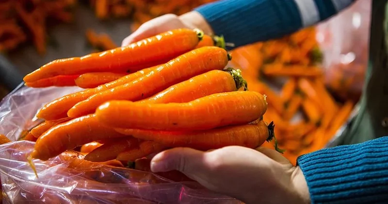 Havuçların aylarca taze kalmasını sağlayan yöntem: Ne yumuşuyor ne bozuluyor Sözcü Gazetesi