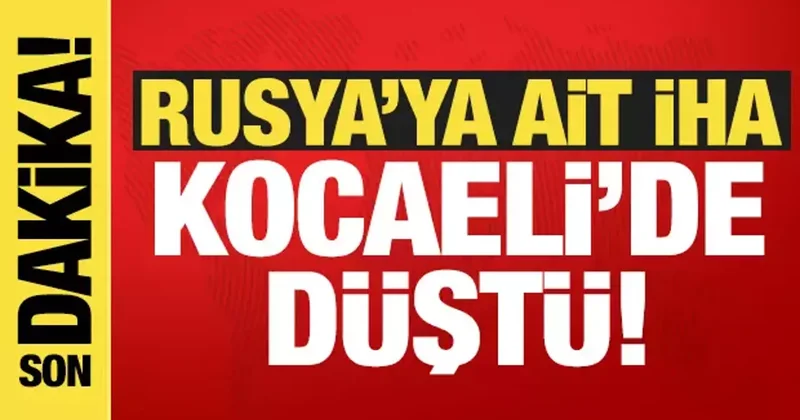 Rusya ya ait İHA Kocaeli de düştü!