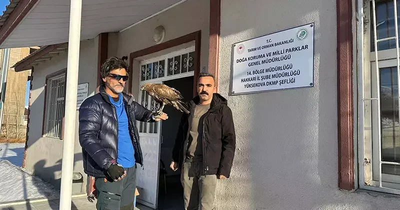 Aylar sonra geri dönen kızıl şahini Doğa Koruma ekiplerine teslim etti