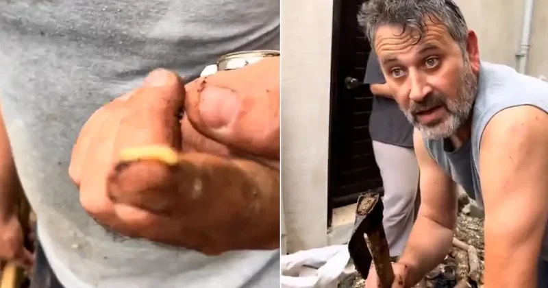 Uzak Doğu değil Karadeniz! Ağaç kurdunu tek hamlede yedi