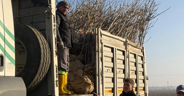 Bandırma nın 55 inci kırsal mahallesinde 350 ağaç toprakla buluştu Karaçalılık Mahallesi girişine 1 kilometrelik yeşil hat Balıkesir Haberleri