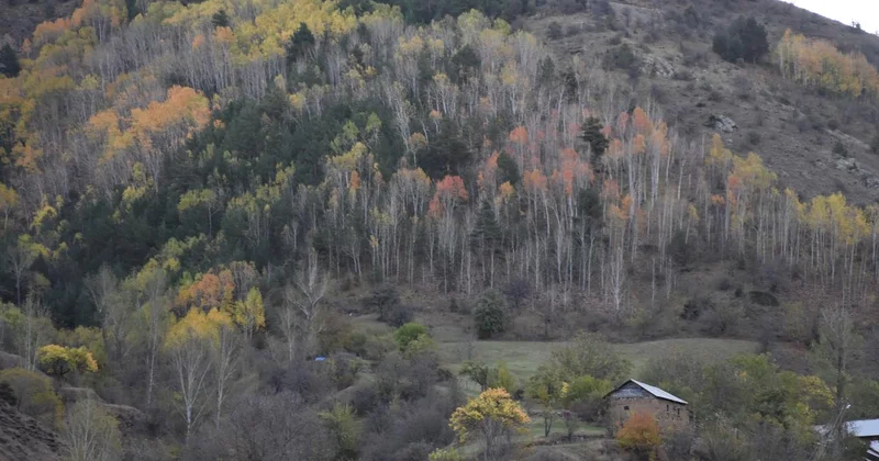 Doğal sit alanı büyüklüğü 28 bin 907 kilometrekareye ulaştı