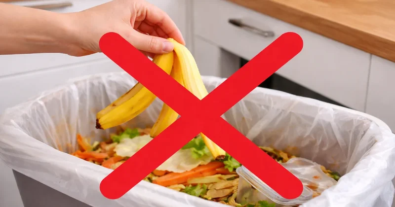 Ev sahiplerine Aralık ayında muzları mutfak çöp kutusuna atmayın çağrısı Sözcü Gazetesi