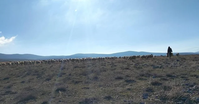 Geçici maden arama izni verilen meralarda kontroller yapıldı Afyonkarahisar Haberleri