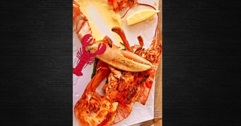 Istakoz derken AKP’li vekil topu ‘fes’e attı Sözcü Gazetesi