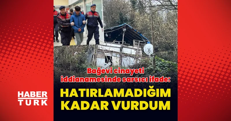 Kartepe’de bağ evi cinayeti iddianamesinde kan donduran ifade: Hatırlamadığım kadar vurdum Son dakika haberleri