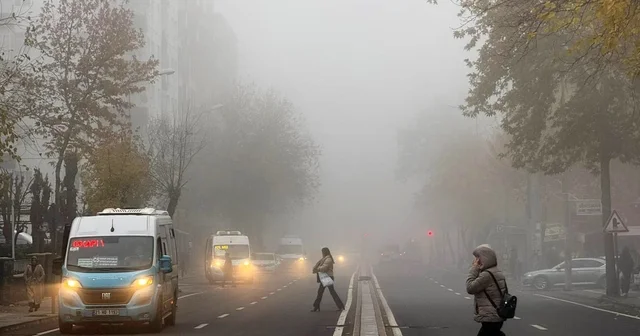 Sisli havalarda korkutan zararlı partikül uyarısı Uzman Dr. Bodur: Zararlı partiküller sisli havalarda aşağı iniyor, bu havalarda dışarı çıkmamaya çalışalım Diyarbakır Haberleri