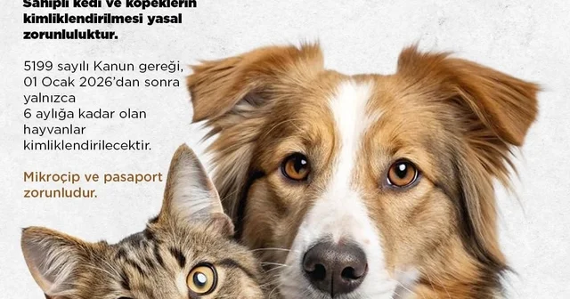 Niğde Belediyesi nden kedi ve köpek sahiplerine uyarı: Son başvuru 31 Aralık 2025 Niğde Haberleri