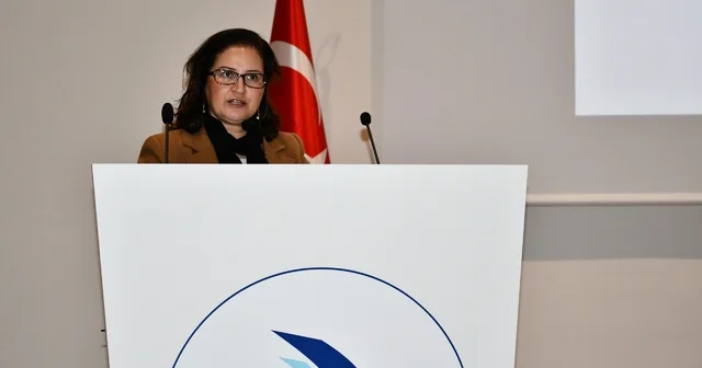 Türkiye artışın en fazla görüldüğü ülkeler arasında Düzce Haberleri