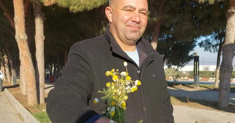 Sarıgöl’de zemheri papatyaları açtı